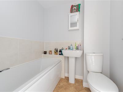 Picture 14